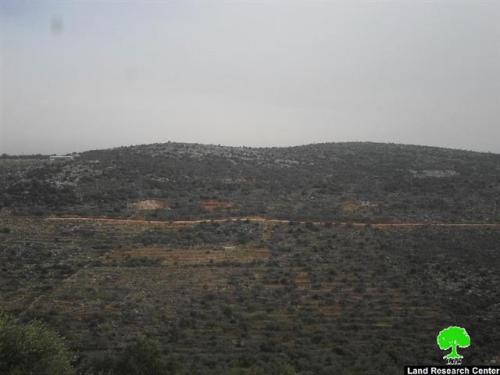 إخطار بإخلاء ارض زراعية وتقطيع أشجار في واد قانا