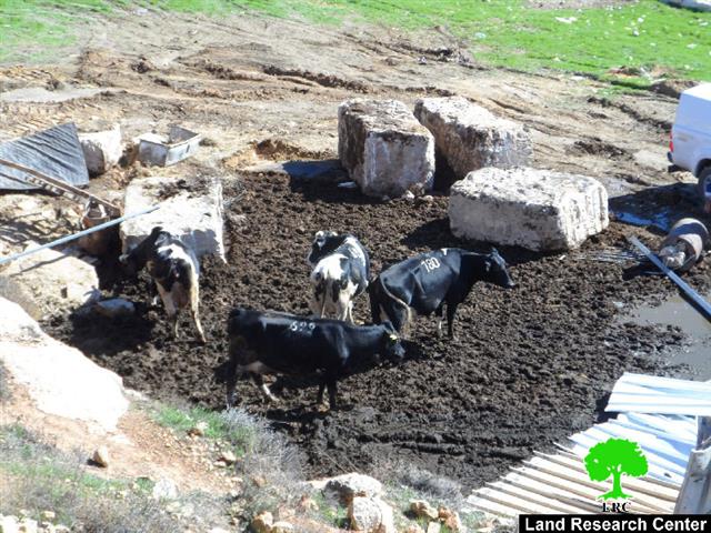 الاحتلال يهدم منشآت زراعية وبئر مياه شرق الخليل