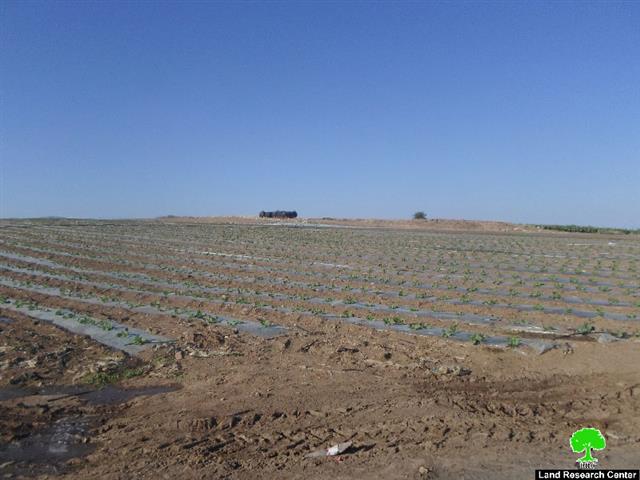 الاحتلال يلاحق الأراضي الزراعية ويصادر مضخات المياه في منطقة الدير شرق قرية عين البيضا