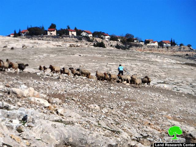 The Israeli Occupation Forces notify an agricultural road of stop-work, south Ad-Dhahiriya town