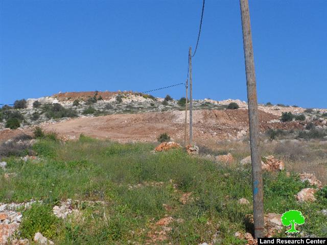 Ravaging lands and uprooting 160 olive trees to expand  Leisham colony