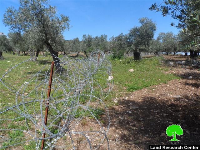 Israeli Occupation Forces set up a fence alongside agricultural lands of Yabad town