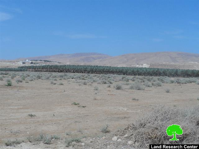 جيش الاحتلال يمنع المزارعين من زراعة 650 دونماً بغراس النخيل في قرية العوجا