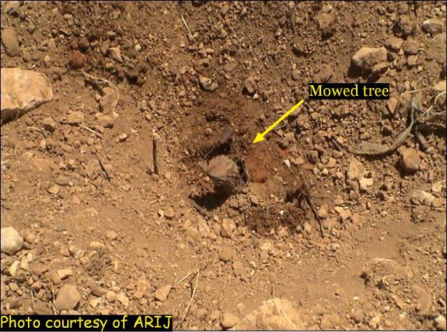 Land theft continues at the hands of Israeli colonists