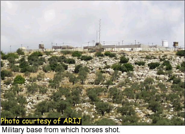 Israeli Aggression Impinges On Animals Too