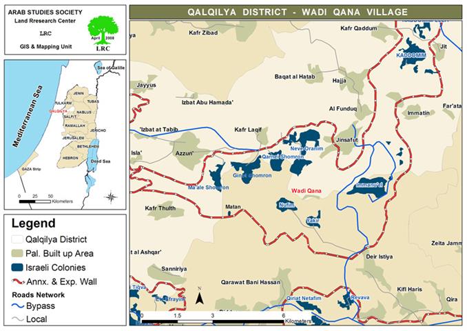 Uprooting 13 olive trees in Wadi Qana