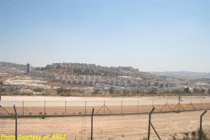 Escalated Israeli Colonial Activities in the occupied Eastern part of the city of Jerusalem