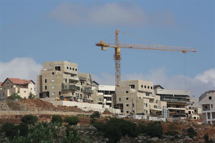 “Declared as State Land”
The Israeli Authorities expropriated 30 Dunums in Deir Istya & Jinsafut