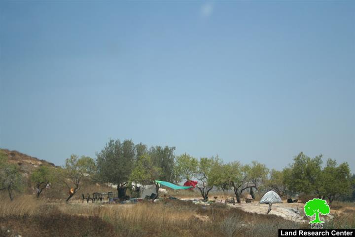 Gilad Zoher colony: a source of  continuous aggression against Palestinian farmers