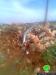 Damaging an electrical grid and ordering people to stop constructing in a water network