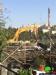 Israeli Dozers Level Palestinian Property in Ash Sheikh Jarrah