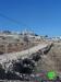 A stop work order served on electricity poles in Bethlehem