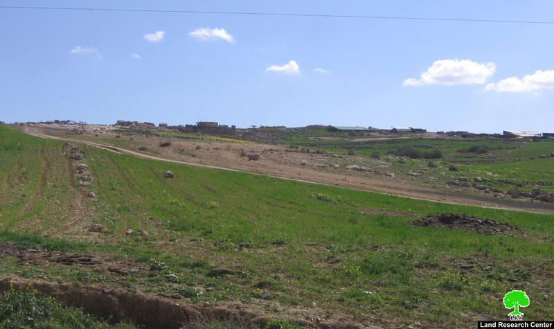 مستعمر يحاول سرقة قطيع أغنام من خربة زنوتة في جنوب شرق الظاهرية – محافظة الخليل