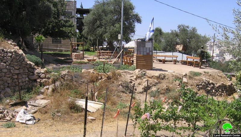 Physical abuse of Children in Tal Rmeida – Hebron city