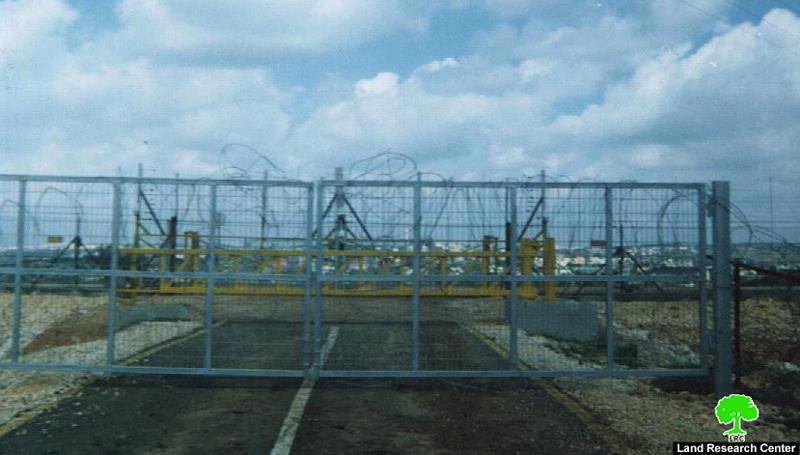 Difficult olive harvest season in Mas-ha Village