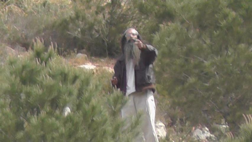 مستعمرو ” بيت عين ” يقطعون 100 شجرة في أراضي بيت أمر