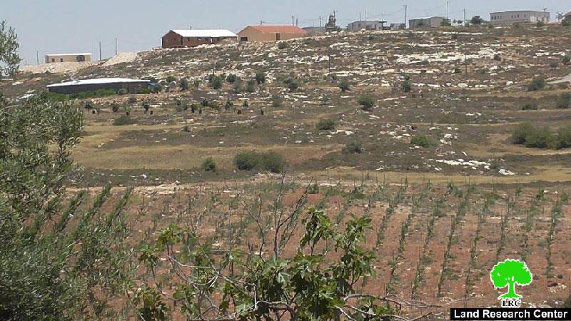Colonists of Shilo seize more land of Jalud