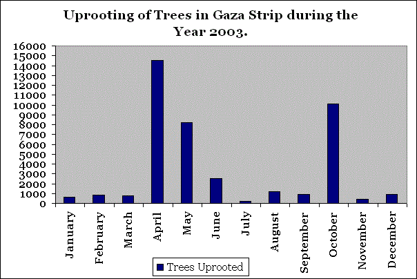 Walls: Today’s Fashion in Israel