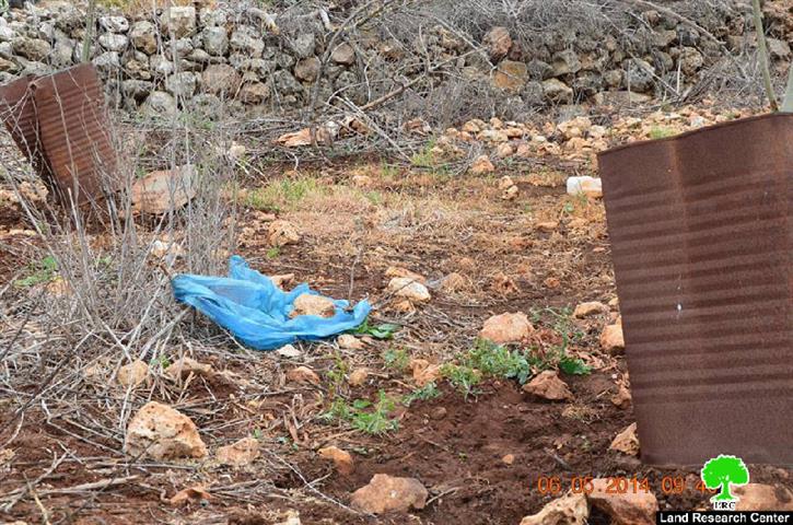 إتلاف 5 دونمات زراعية بمياه الصرف الصحي في بلدة قراوة بني حسان