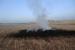 Israeli Settlers torched crops in Yatta