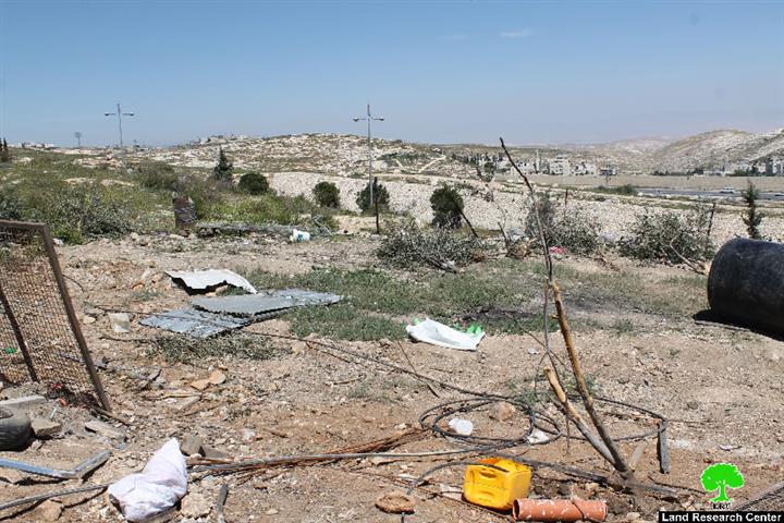 Israeli occupation municipality in Jerusalem demolish structures and uproots trees in the Jerusalem neighborhood of At-Tur