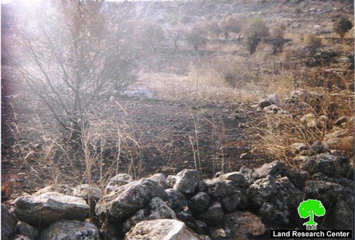Separated Palestinain lands set into fire at the hands of Israeli settlers from Sha’are Tikva and Elkana settlements