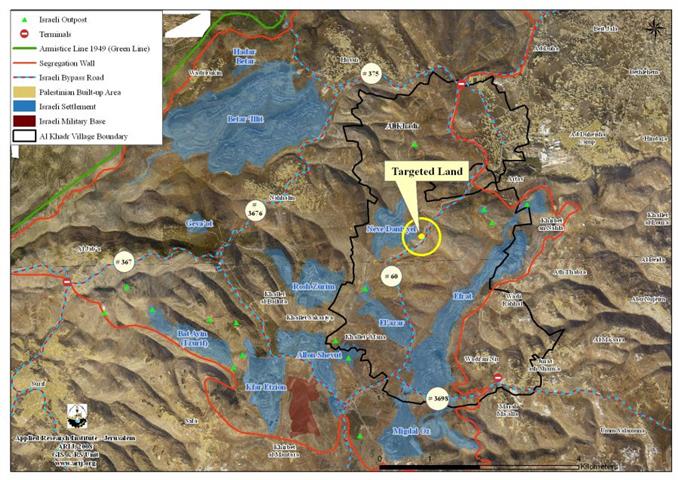 Israeli Settlers massively uproot Olive trees in Al Khader Village west of Bethlehem city