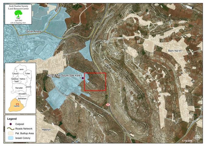 Cutting Tens of Olive Trees  in Jalis Mountain – Hebron