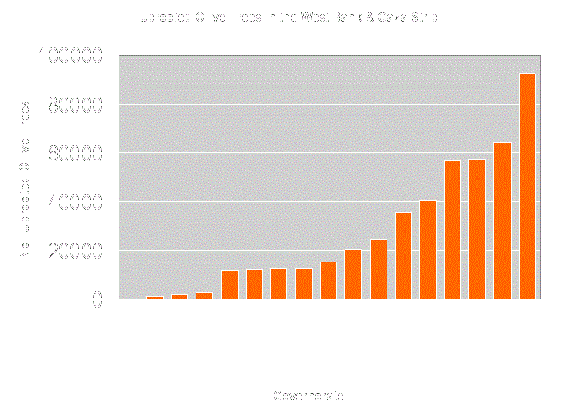 Olive Harvest Season in Palestine: less land to harvest, less olive to pluck
