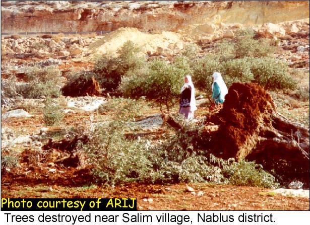 They Cut Trees, Don’t They? An Assessment of the Israeli Practices on the Palestinian Agricultural Sector