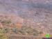 Israeli arson war continued against Palestinian agricultural land in Far’un village