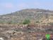 Hundreds of olive trees burned by Israeli settlers in Jinsafut Village