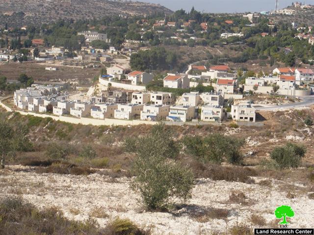 Israeli Occupation Forces Prevent Tens of Palestinian Farmers from Reaching Their Lands in Deir Istia