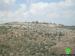 Palestinian land bulldozed for colonial expansion in Sarta village