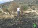 The Palestinian Olive Survival Battle  “Israeli Aggressions during the 2010 Olive Picking Season”