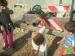 The Confiscation of Water Tankers in Khirbet Tana