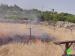 Setting Agricultural Fields Ablaze in  Beit Ummar – Hebron Governorate