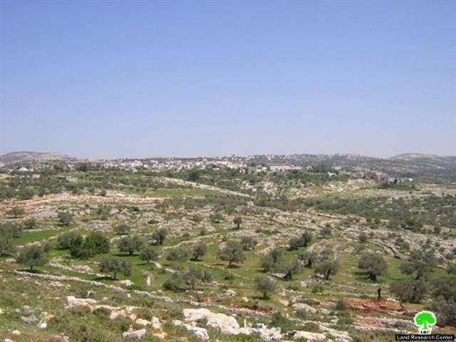 The Israeli Occupation Army torches tens of fields in Bil’in – Ramallah governorate