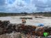 Colonists Cut Down 70 Olive Seedlings north of Yatma village