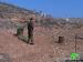 Damaging 27 olive trees and destroying a agricultural room in Nablus