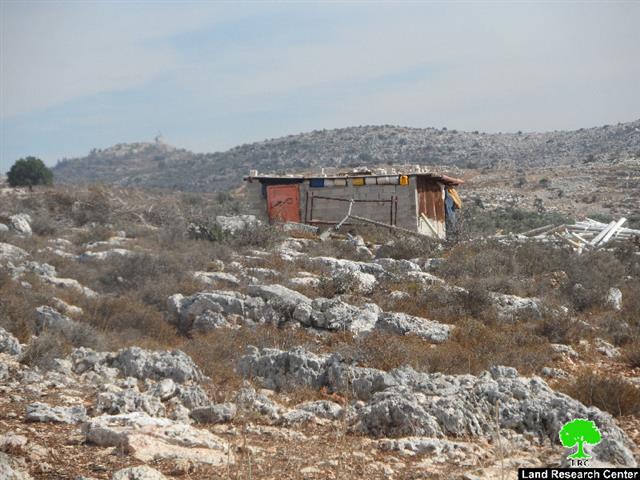 إخطار بإخلاء 3.5 دونماً مزروعة بنحو 110 غراس من الزيتون في بلدة بروقين