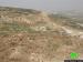 Ravaging 30 agricultural dunums from the Bethlehem village of Wad Rahhal