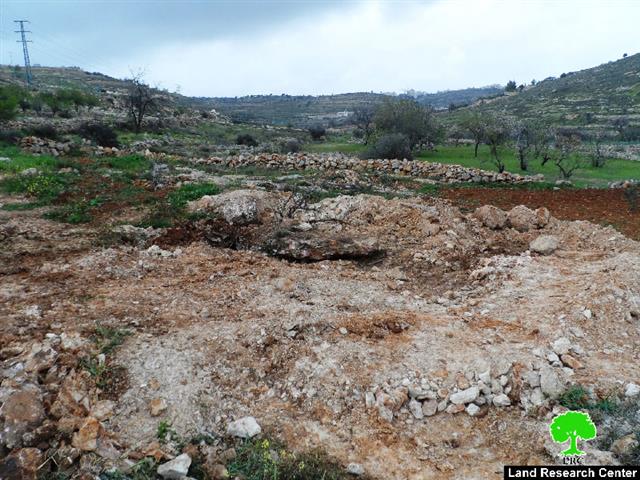 The Israeli occupation demolishes a water cistern and uproots trees in Hebron