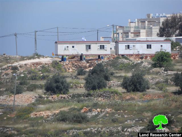 Colonist sabotage 85 grapes seedlings in the Hebron town of Halhul