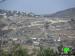 Colonists set 50 agricultural dunums ablaze in Al Jab’a village
