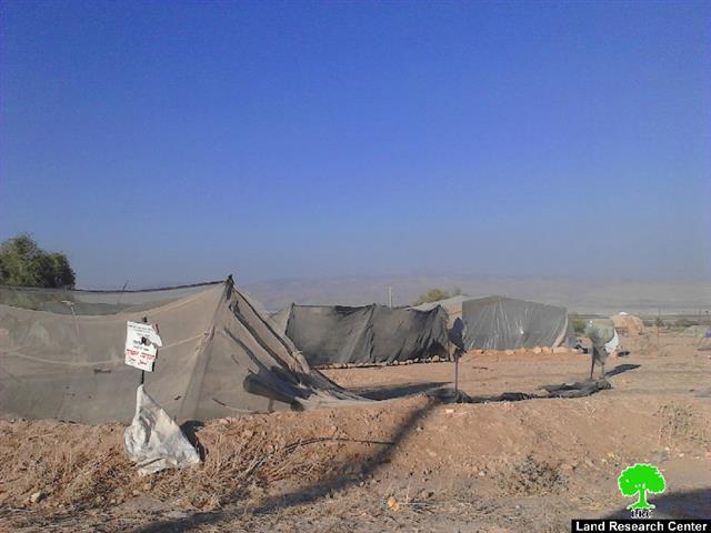 The Israeli occupation delivers demolition notices on structures in the Jericho village of Fasayil