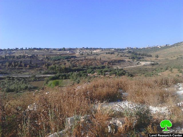 Colonists set fire to olive trees in the Tulkarm village of Kfar Sur
