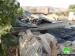 New demolitions in the northern Palestinian Jordan Valley (Al-Ghoor)