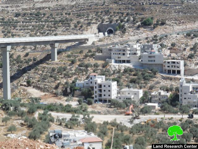 The Israeli occupation army ravages and uproots olive trees in Bethlehem governorate