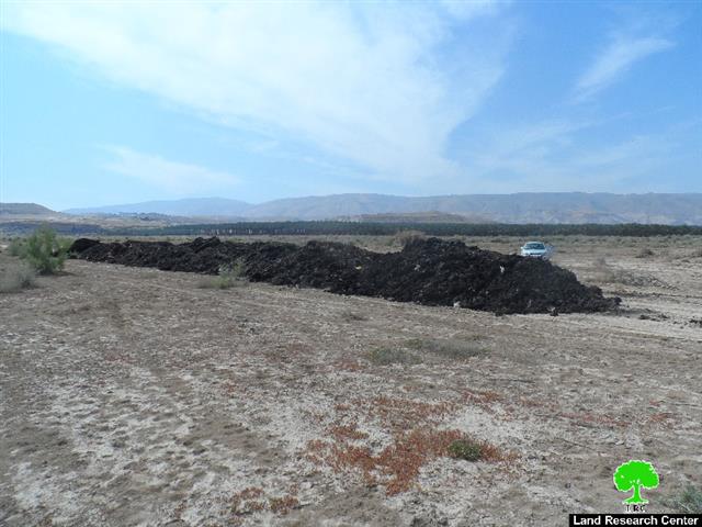 Yitav colonists confiscate endowment lands from Jericho area of Al-Auja
